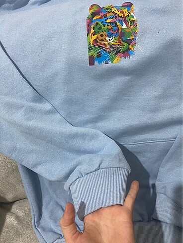 Sweathshirt