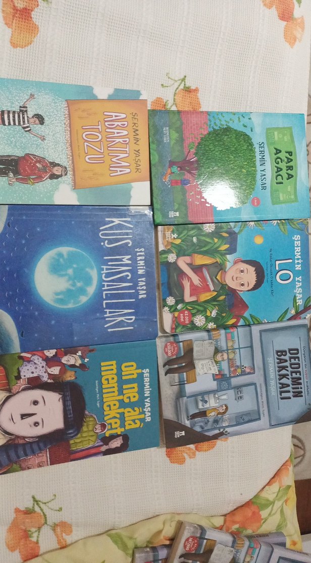 Şermin Yaşar çocuk kitapları - Görsel 2