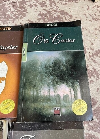 ölü canlar kitabı