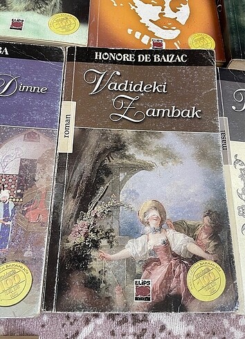 vadideki zambak kitabı