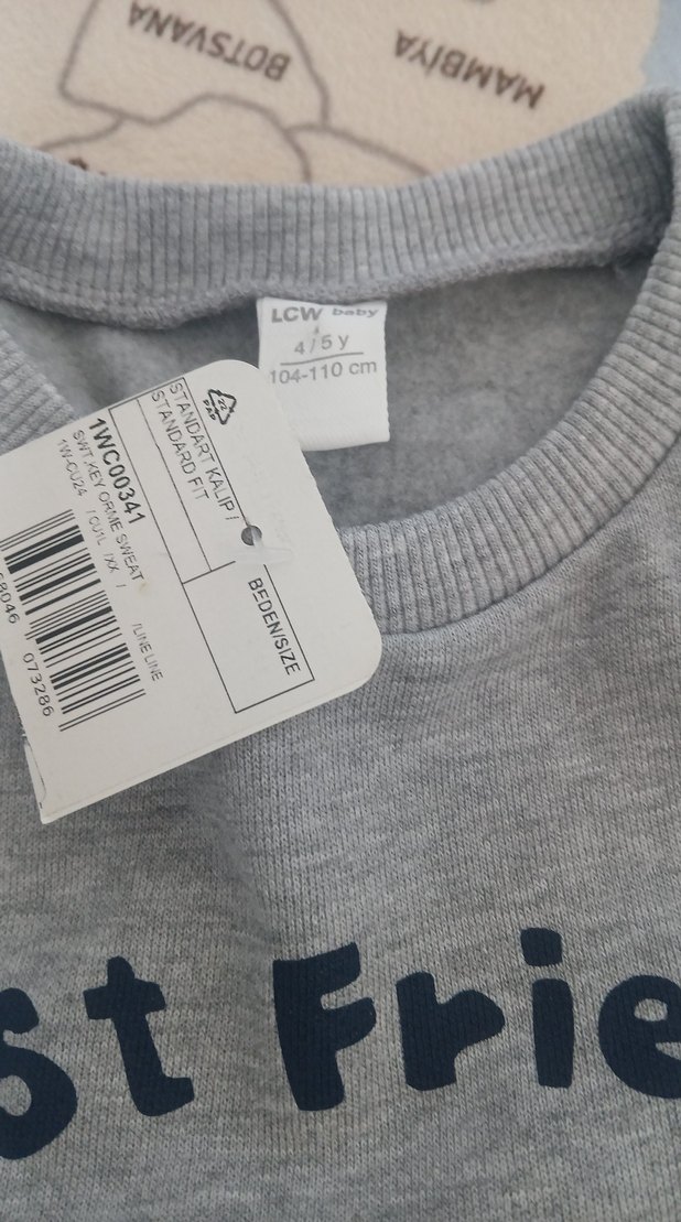 Gri Erkek Çocuk Sweatshirt, Uzun Kollu, Örme - Görsel 3