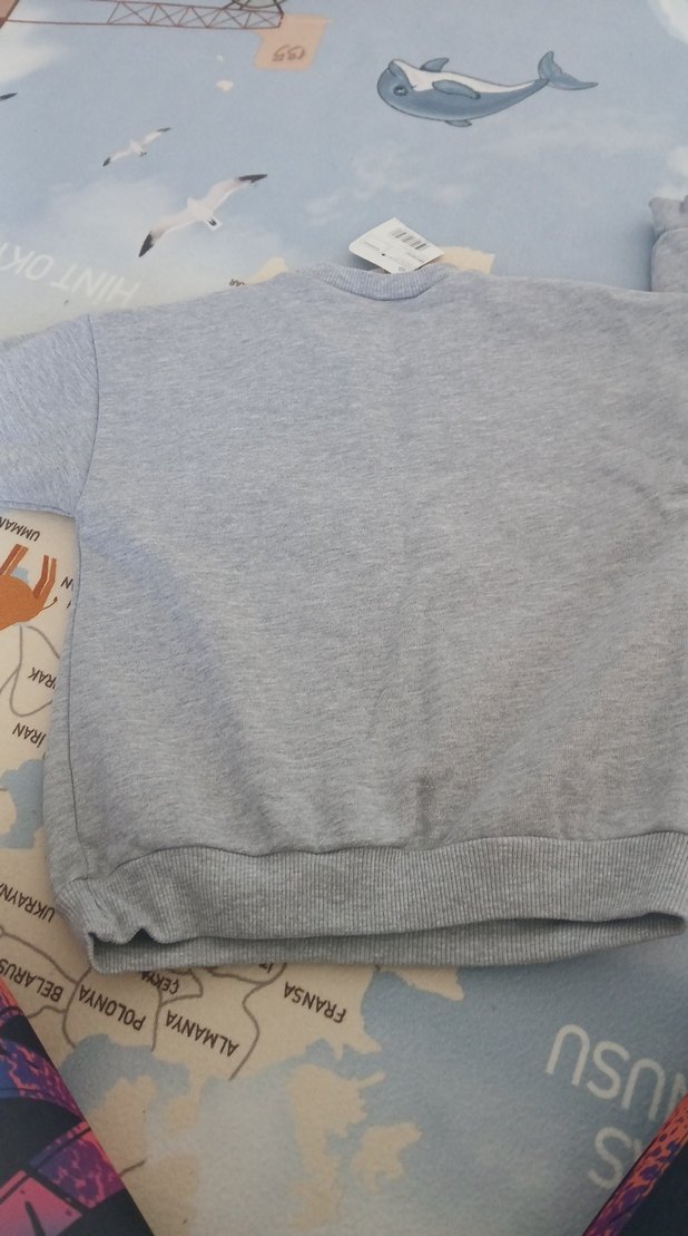 Gri Erkek Çocuk Sweatshirt, Uzun Kollu, Örme - Görsel 2