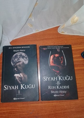 Siyah Kuğu 1 ve 2 - Beyza Aksoy