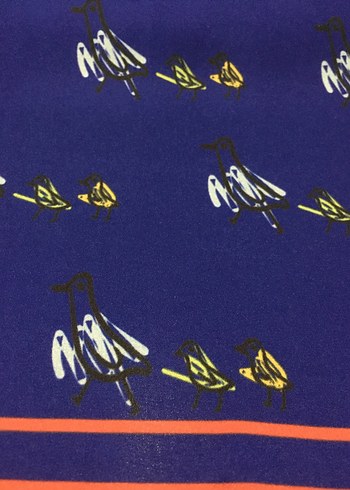 Fular Desenli - Görsel 5