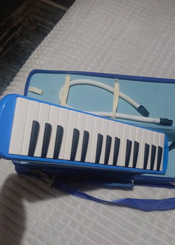 Mavi Melodika Müzik Enstrümanı - Görsel 2