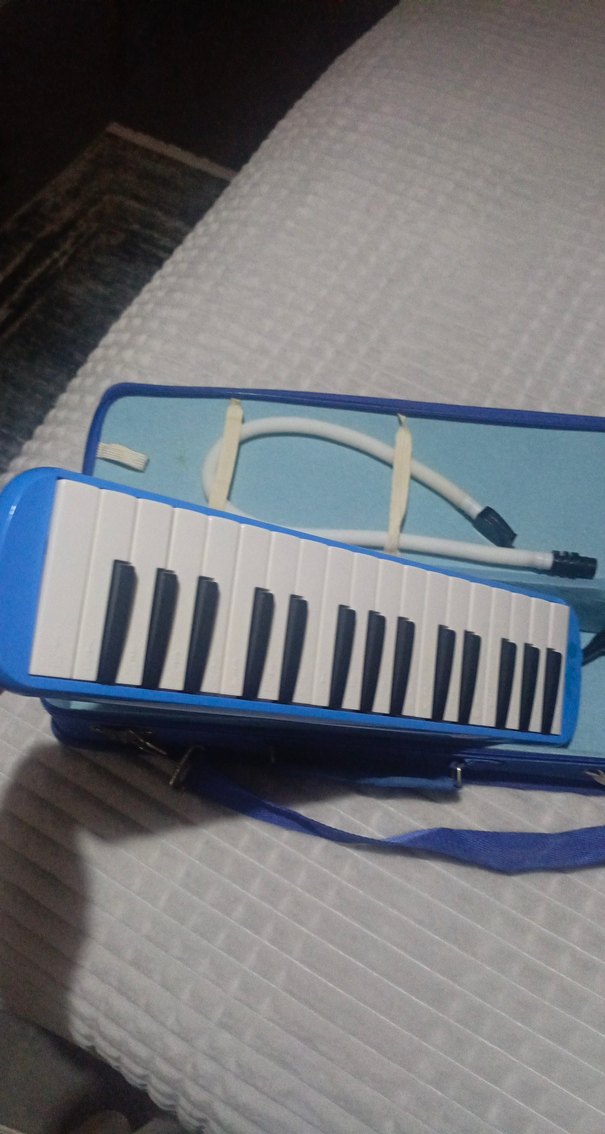 Mavi Melodika Müzik Enstrümanı - Görsel 2