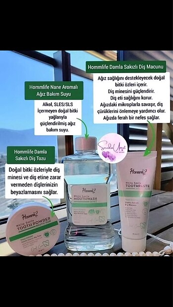  Beden Diş macunu
