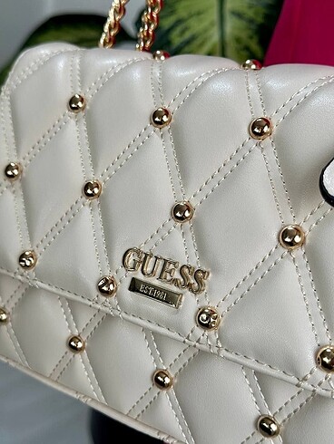 Guess Guess