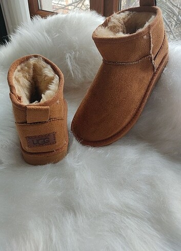 37 Beden Ugg bot