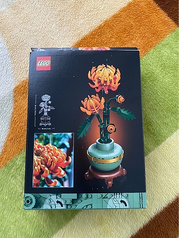  Lego (kasımpatı)