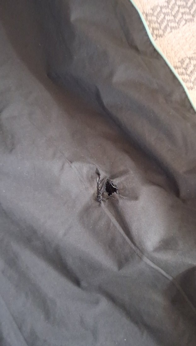 Kadın  Nike eşofman takımı - Görsel 5