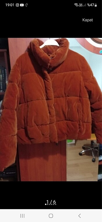 Koton mont