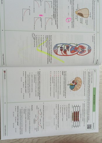  AYT Biyoloji Simülasyon Denemeleri Kitabı