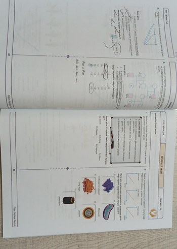TYT Biyoloji Branş Denemeleri 40x6 Güncel