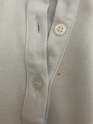 s Beden beyaz Renk Polo Kadın Tişört