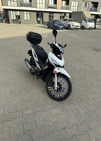  Beden Diğer 