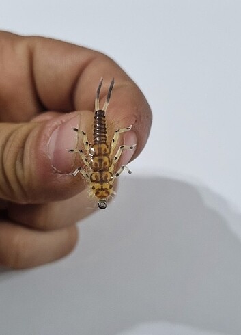 Alabalık Taş Sineği Silikon Yem - Görsel 7