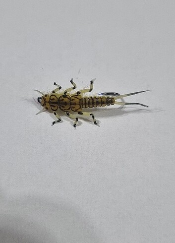 Alabalık Taş Sineği Silikon Yem - Görsel 8