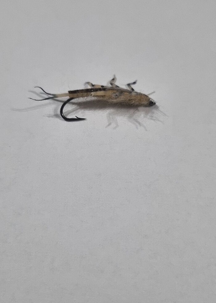 Alabalık Taş Sineği Silikon Yem - Görsel 4