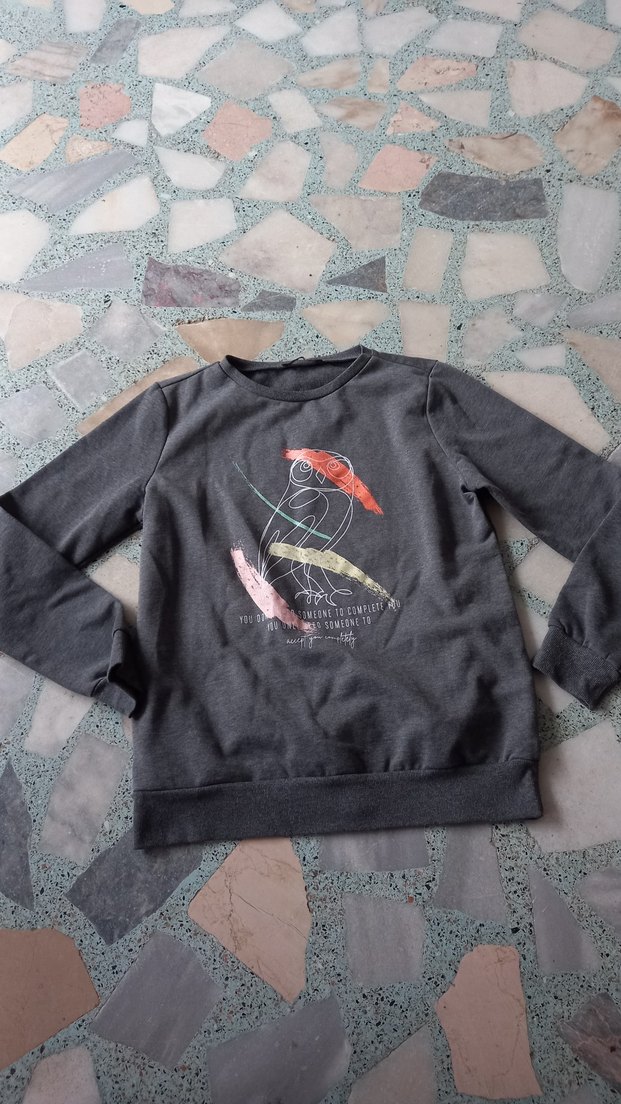 Gri Baskılı Erkek Çocuk Sweatshirt - Görsel 2