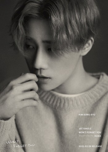 Kim Sung Kyu - Won't Forget You