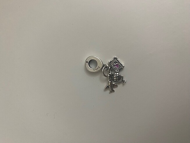 Pandora Pandora charm