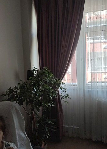Bordo gul kurusu Fon perde