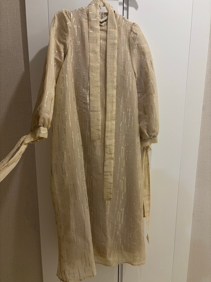 Bej Parlak Uzun  Elbise abiye - Görsel 3