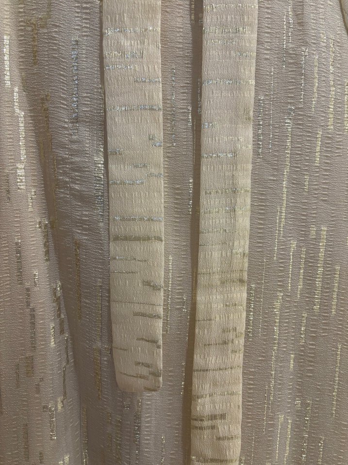 Bej Parlak Uzun  Elbise abiye - Görsel 2