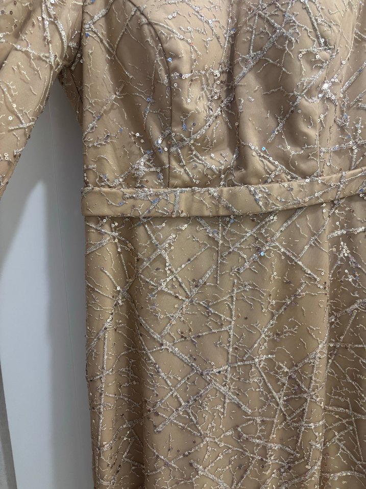 Bej Parlak kalem Uzun Tesettür Abiye Elbise - Görsel 3