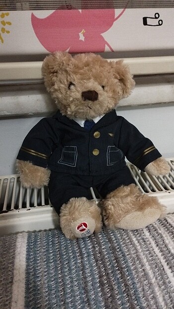 Pilot ayıcık