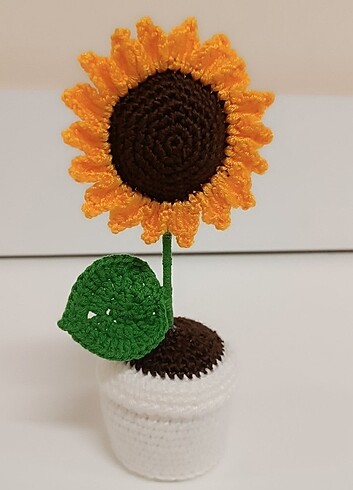 Saksili ayçiçeği ???? 17 cm