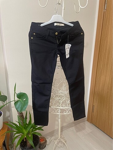 Kot pantalon