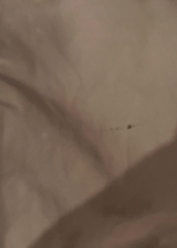 Kahverengi Uzun Kadın Mont Kürklü Kapüşonlu - Görsel 3