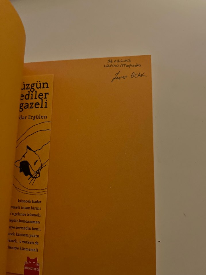 Üzgün Kediler Gazeli - Haydar Ergülen - Görsel 3
