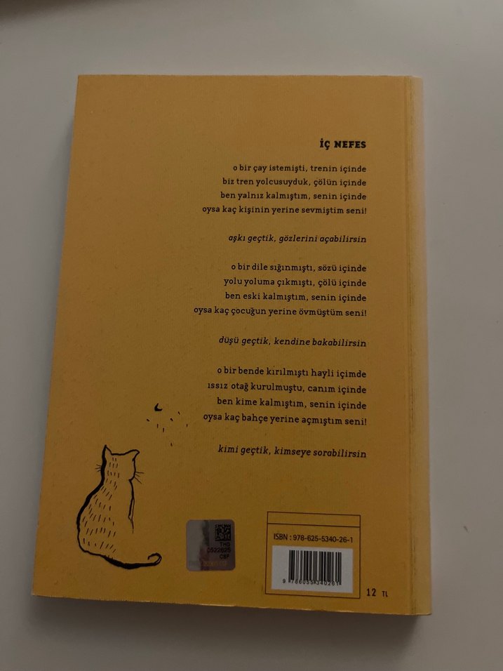 Üzgün Kediler Gazeli - Haydar Ergülen - Görsel 2