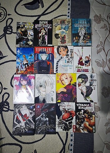Manga lot