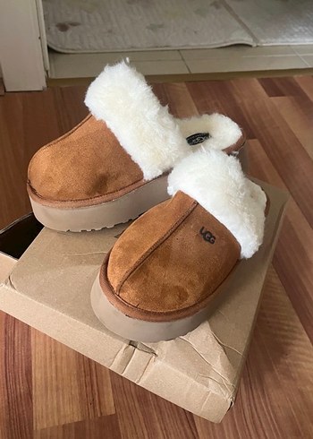 Ugg 37