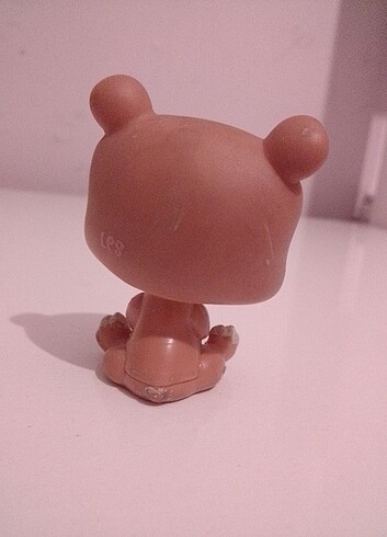 Lps ayı Miniş 