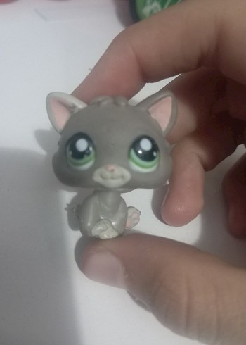 lps miniş