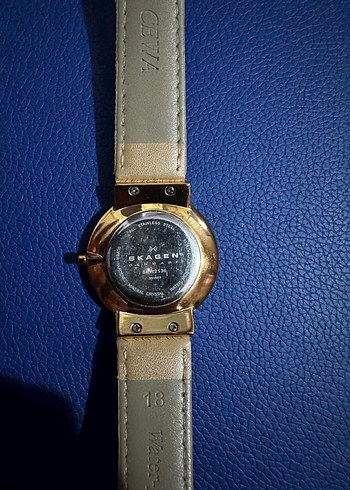 Beden Skagen Bej Parlak Kadın Kol Saati