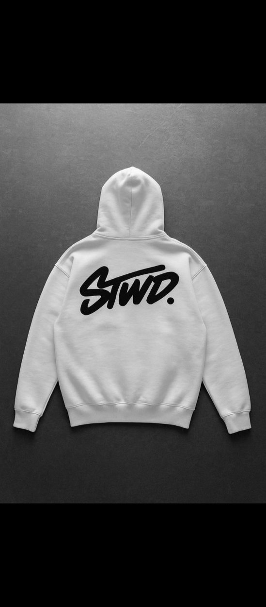 Beyaz Kapüşonlu Fermuarlı Erkek Sweatshirt - Görsel 2