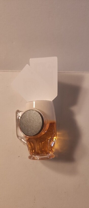  Montecarlo magnet