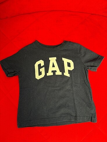 Gap 24-36 Ay