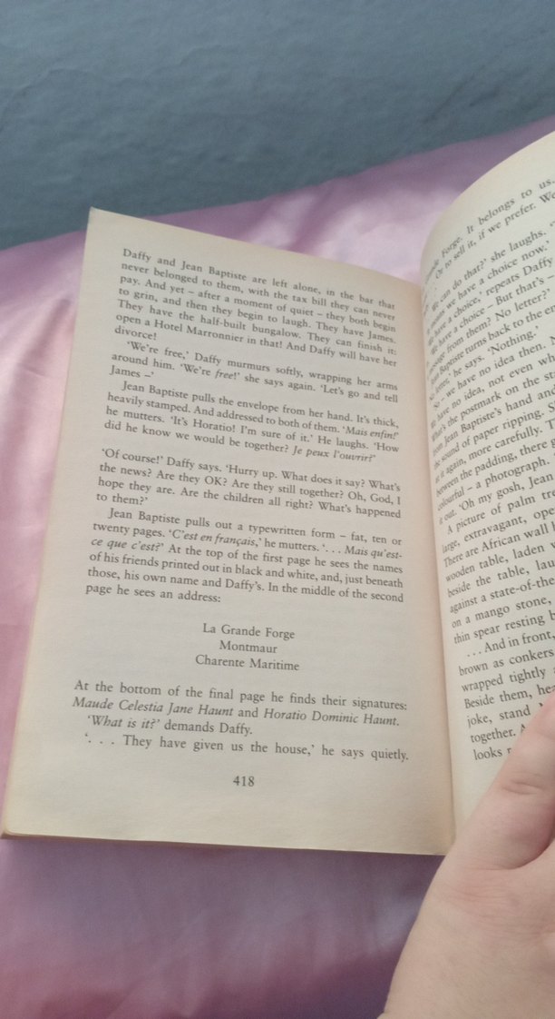 Bordeaux Housewives - Daisy Waugh İngilizce kitap - Görsel 3