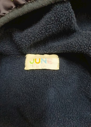 Erkek Çocuk Dinozor Baskılı Kapüşonlu Mont - Görsel 3