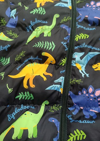 Erkek Çocuk Dinozor Baskılı Kapüşonlu Mont - Görsel 2