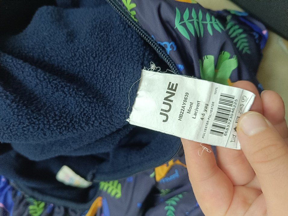 Erkek Çocuk Dinozor Baskılı Kapüşonlu Mont - Görsel 4