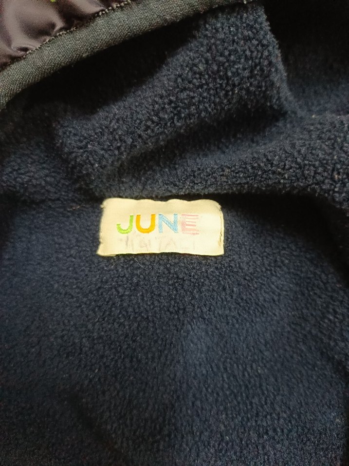 Erkek Çocuk Dinozor Baskılı Kapüşonlu Mont - Görsel 3