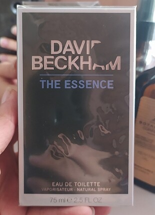 David Beckham Essence